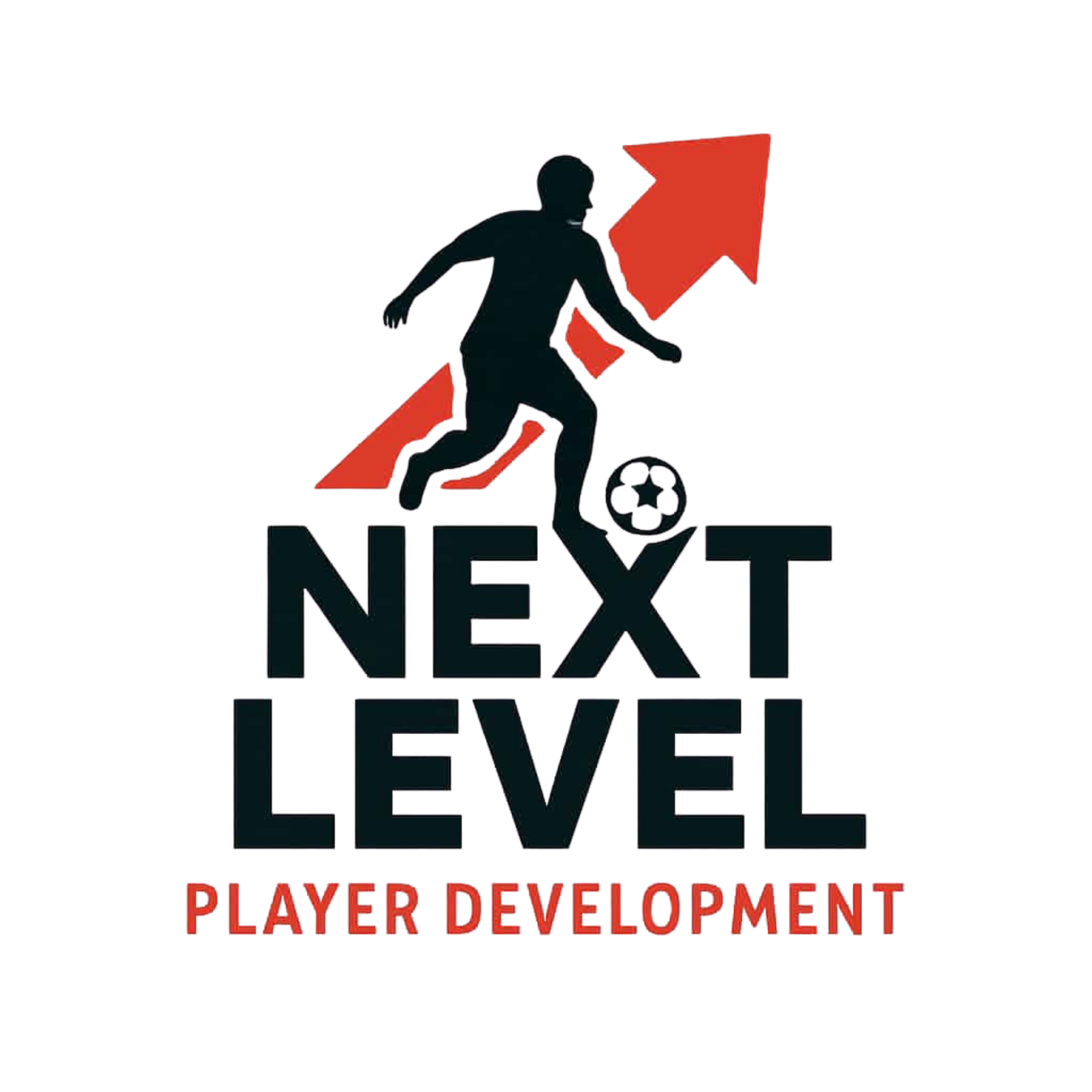 Next Level Player Development